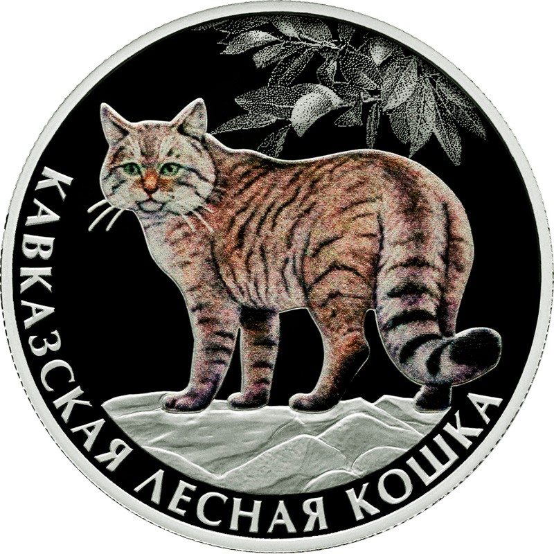 Серебряная монета России 